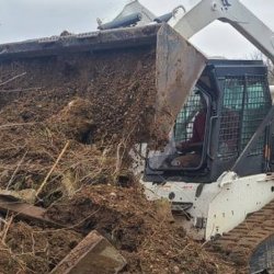 Yard Cleaning Website For Sale (917) 651-8495