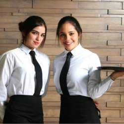 Professional Party Staff! WAITERS/BARTENDERS/KITCHEN/BRAND AMBASSADOR (Orlando)