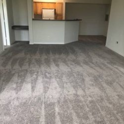 AFFORDABLE !COMMERCIAL AND RESIDENTIAL CARPET SALES AND INSTALLATION (Orlando)