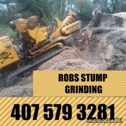 STUMP GRINDING 20% off (Seminole orange Volusia lake counties)