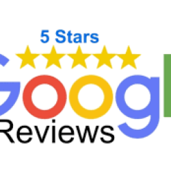 Web Design that Captivates and Converts | Web Design Services (917) 651-8495