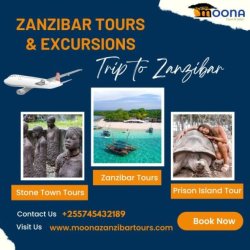 Zanzibar excursions